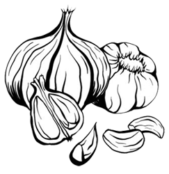 Shape Image